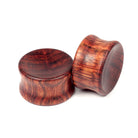 Concaves-CH - BC Plugs  - 2